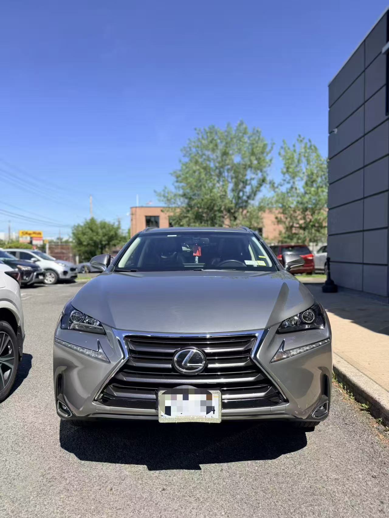 2017 Lexus NX 350's photo
