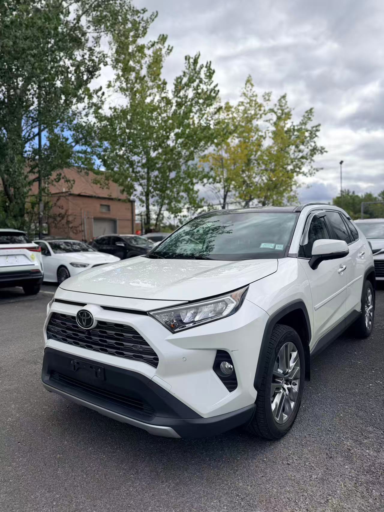 2019 Toyota RAV4 Limited